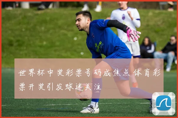 世界杯中奖彩票号码成焦点 体育彩票开奖引发球迷关注