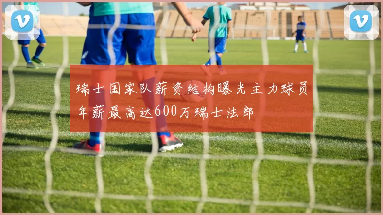 瑞士国家队薪资结构曝光主力球员年薪最高达600万瑞士法郎