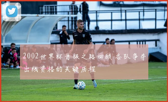 2002世界杯晋级之路回顾 各队争夺出线资格的关键历程