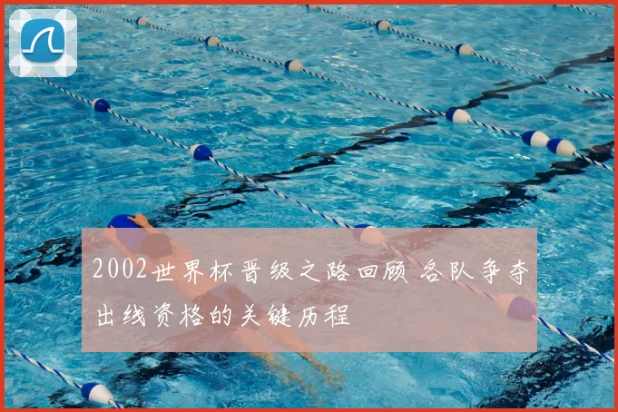 2002世界杯晋级之路回顾 各队争夺出线资格的关键历程