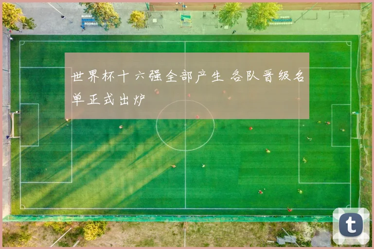 世界杯十六强全部产生 各队晋级名单正式出炉