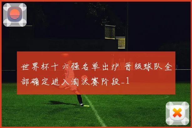 世界杯十六强名单出炉 晋级球队全部确定进入淘汰赛阶段_1